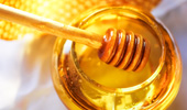 Honey industries