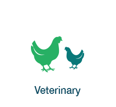 Applications - Veterinary