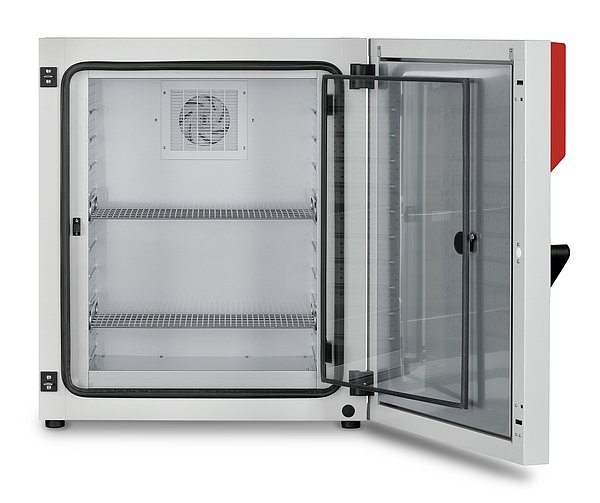Model KT 170 | Cooling incubator with Peltier technology
