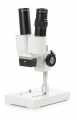 Euromex 50.890 Binocular Stereo Microscope AP-1 Head with Straight Tubes, 20x Magnification without Illumination