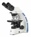 Euromex OX.3012 Binocular Oxion Microscope with Semi Plan SMP 4/10/S40/S100x Oil IOS Objectives