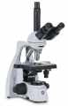 Euromex BS.1153-EPLPH bScope Trinocular Microscope HWF 10x/20 mm Eyepieces and Quadruple Nosepiece with E-Plan Phase EPLPH 10/20/S40/S100x Oil Objectives