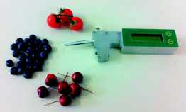 TR Turoni 53225 Fruit Firm Hardness Tester for Kiwi, Blueberries , Cherries and more