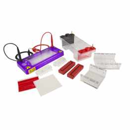 Cleaver Scientific Mini Horizontal Electrophoresis System