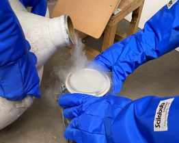 Scilabub™  Frosters™ Cryogenics Liquid Nitrogen Gloves