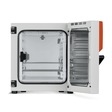 Model BD 56 | Standard-Incubators with natural convection
