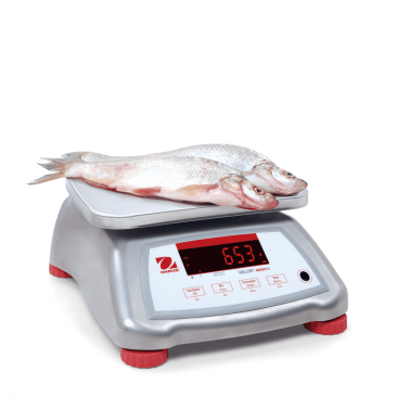 Ohaus Valor® 4000 Waterproof IP68 Compact Bench Scales for Wet Food Processing