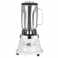 Waring 800ESK Single Speed Blender with 1.0 Litre Stainless Steel Container, 230V, 50 Hz , CE Approved, ROHS with British G Type Plug